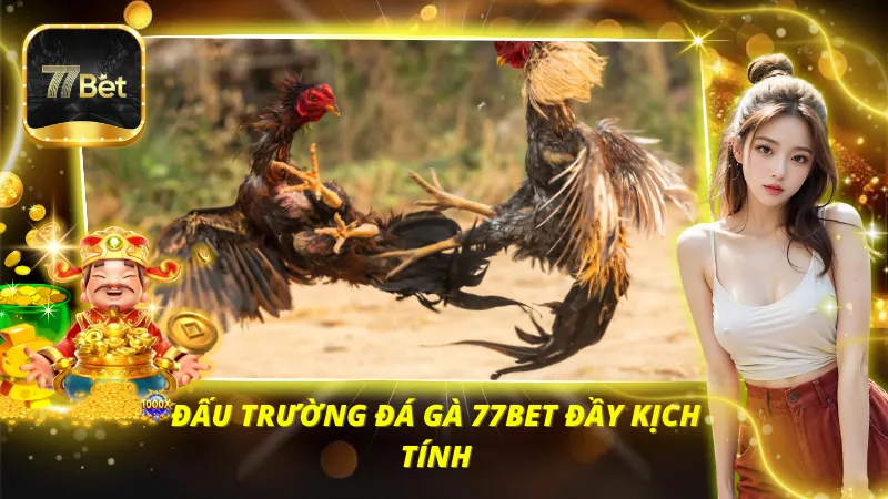 Đấu trường đá gà 77BET đầy kịch tính