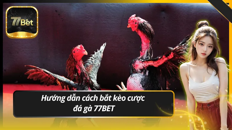 Hướng dẫn cách bắt kèo cược đá gà 77BET chi tiết nhất