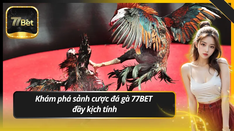 Khám phá sảnh cược đá gà 77BET đầy kịch tính