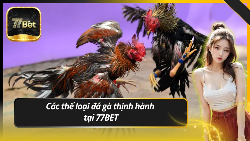 Các thể loại đá gà thịnh hành tại 77BET