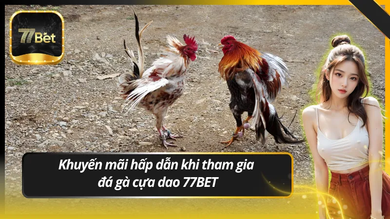 Khuyến mãi hấp dẫn khi tham gia đá gà cựa dao 77BET
