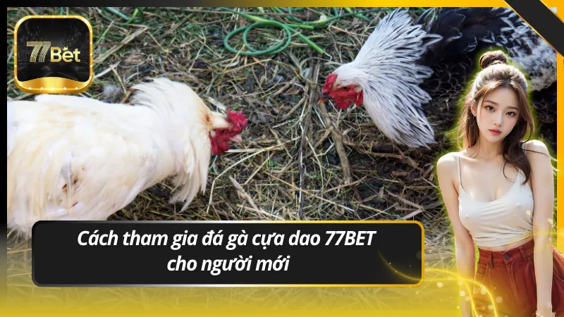 Cách tham gia đá gà cựa dao 77BET cho người mới