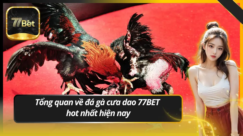 Tổng quan về đá gà cưa dao 77BET hot nhất hiện nay