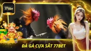 Đá Gà Cựa Sắt 77BET
