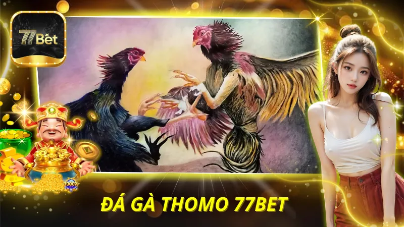 Đá Gà Thomo 77BET