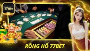 Rồng Hổ 77BET
