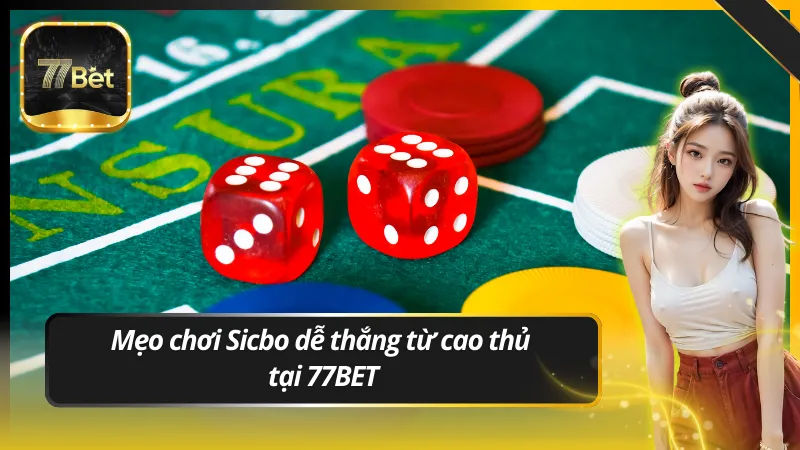 Mẹo chơi Sicbo dễ thắng từ cao thủ tại 77BET