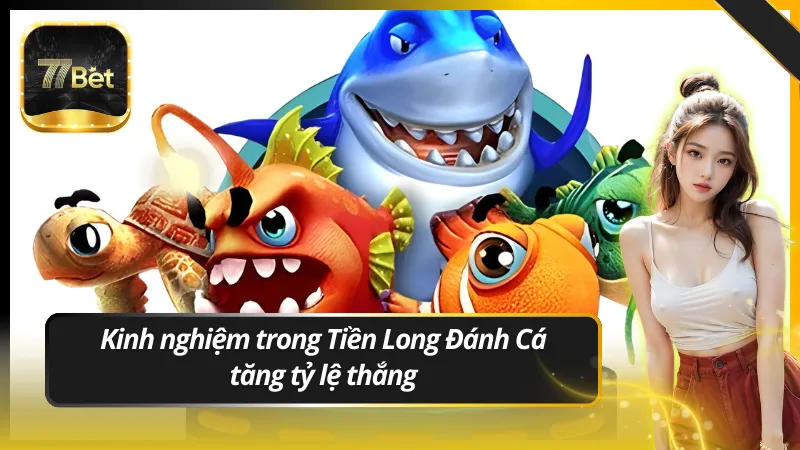 Kinh nghiệm trong Tiền Long Đánh Cá tăng tỷ lệ thắng