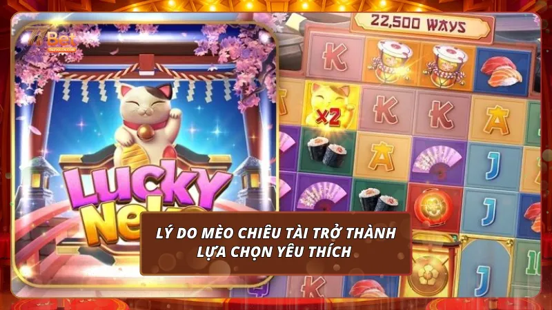 Lý do Mèo Chiêu Tài trở thành lựa chọn yêu thích của bet thủ