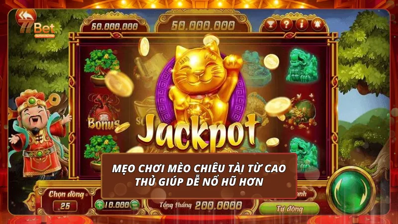 Mẹo chơi Mèo Chiêu Tài từ cao thủ giúp dễ nổ hũ hơn